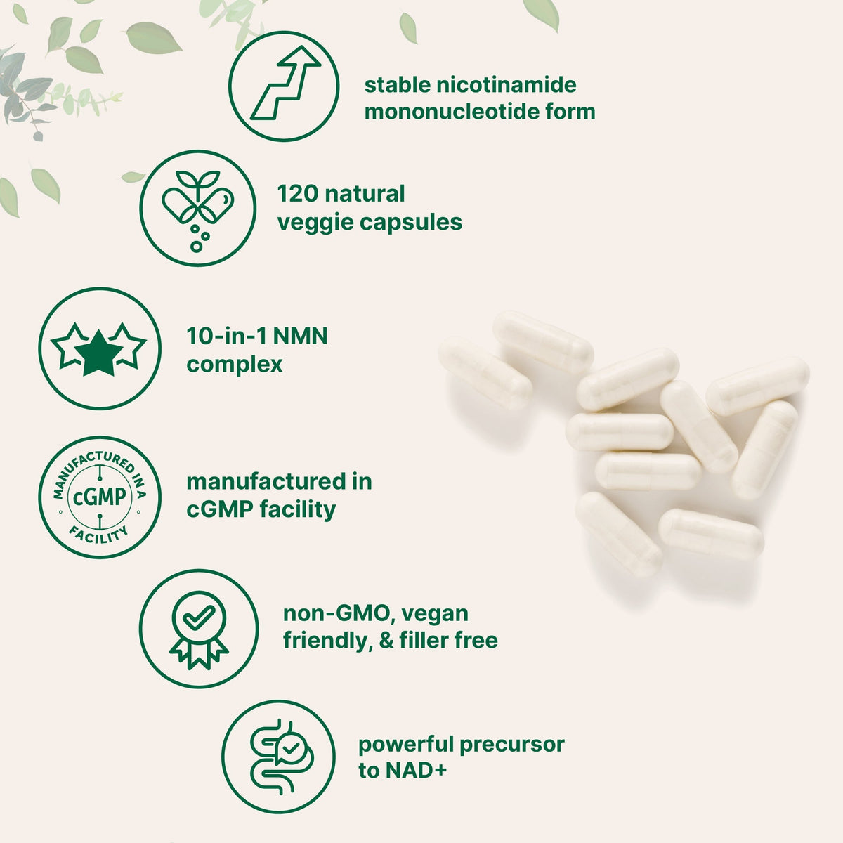 Micro Ingredients NMN Complex 1,000mg Per Serving, 120 Veggie Capsules