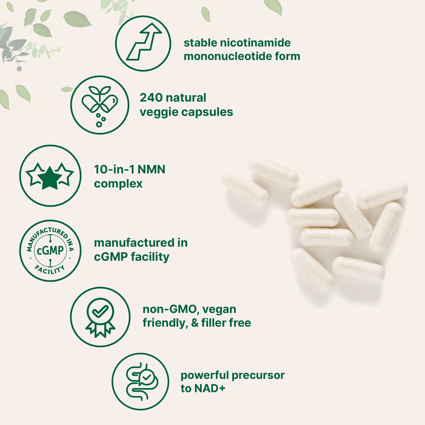 Micro Ingredients NMN Complex 1,000mg Per Serving, 240 Veggie Capsules
