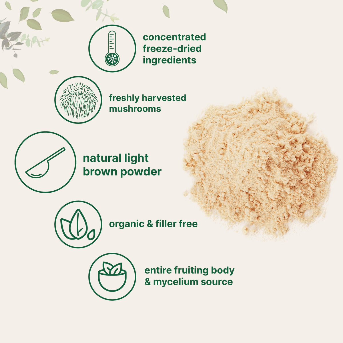 Micro Ingredients Organic Lions Mane Mushroom Supplement Powder