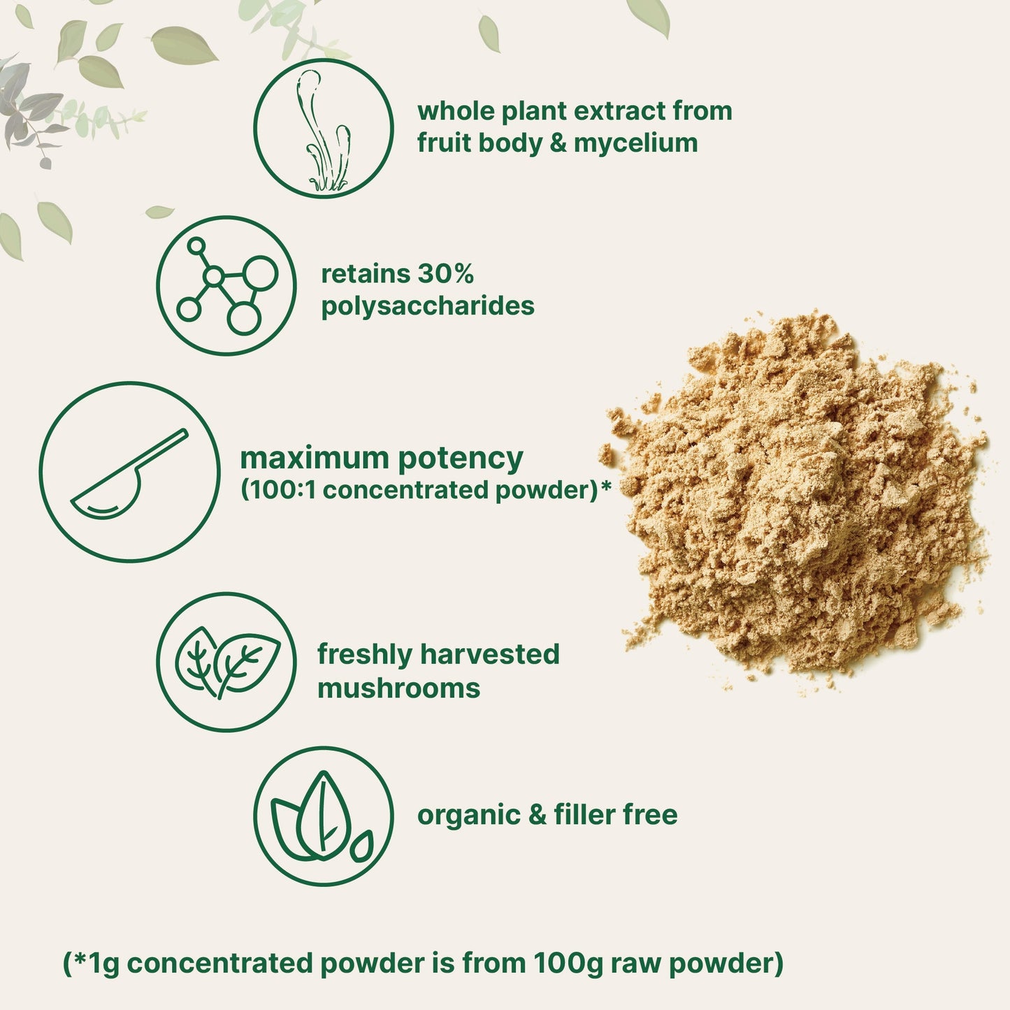 Micro Ingredients Organic Cordyceps Mushroom Extract Powder, 8 Ounces