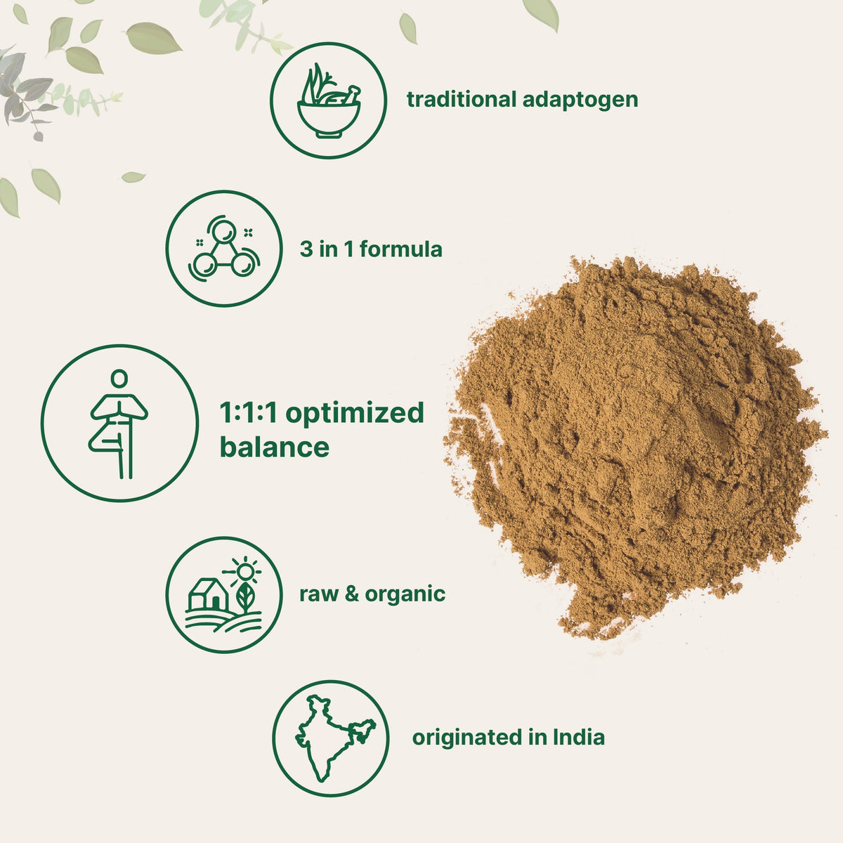 Micro Ingredients Organic Triphala Powder, 2 lb