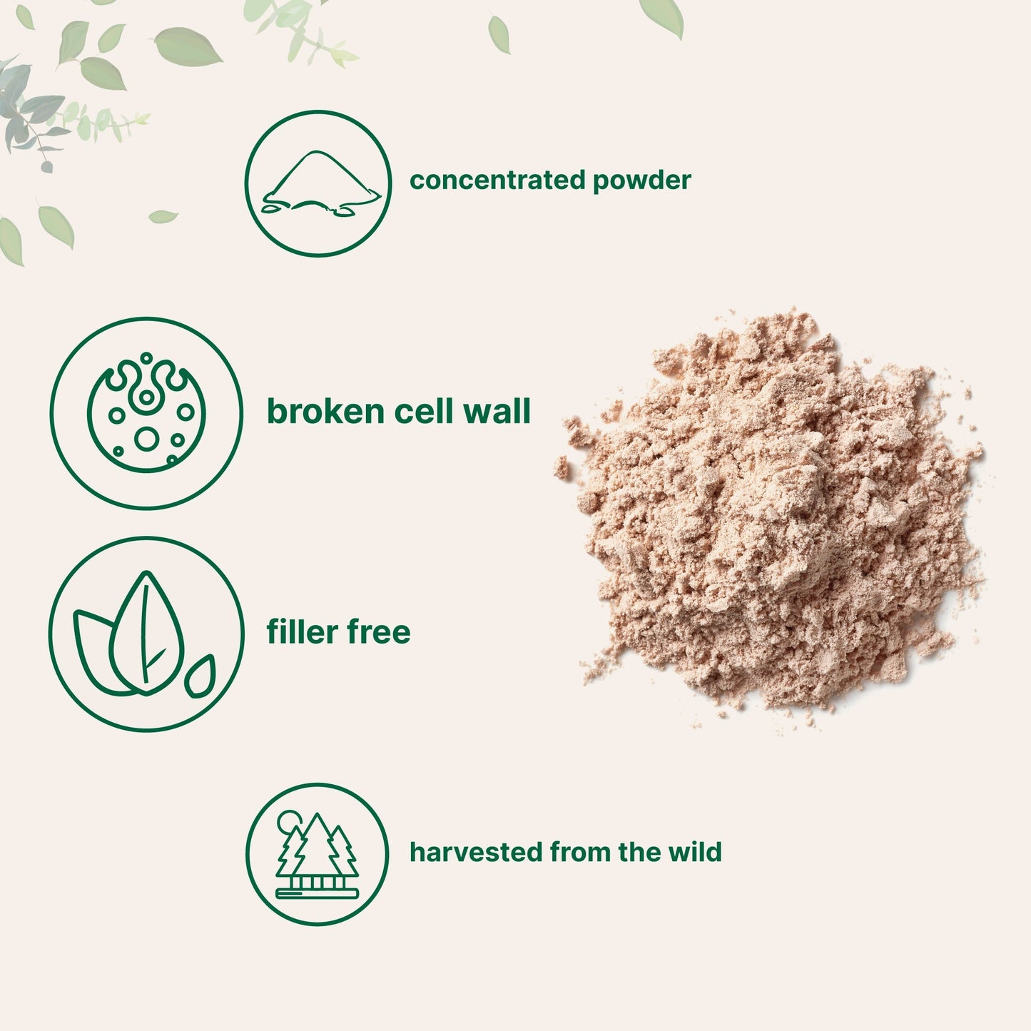 Micro Ingredients Pine Pollen Powder, 6 oz
