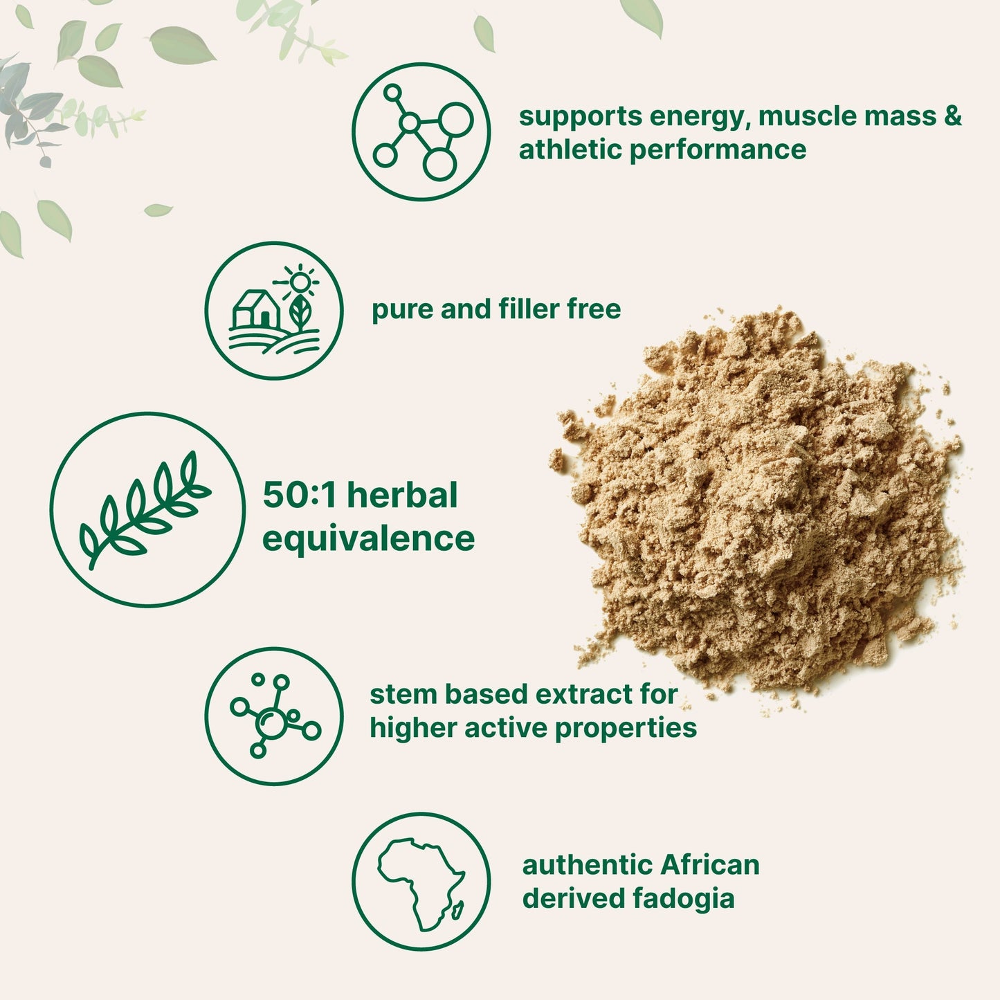 Micro Ingredients Fadogia Agrestis 50:1 Stem Extract Powder, 4oz