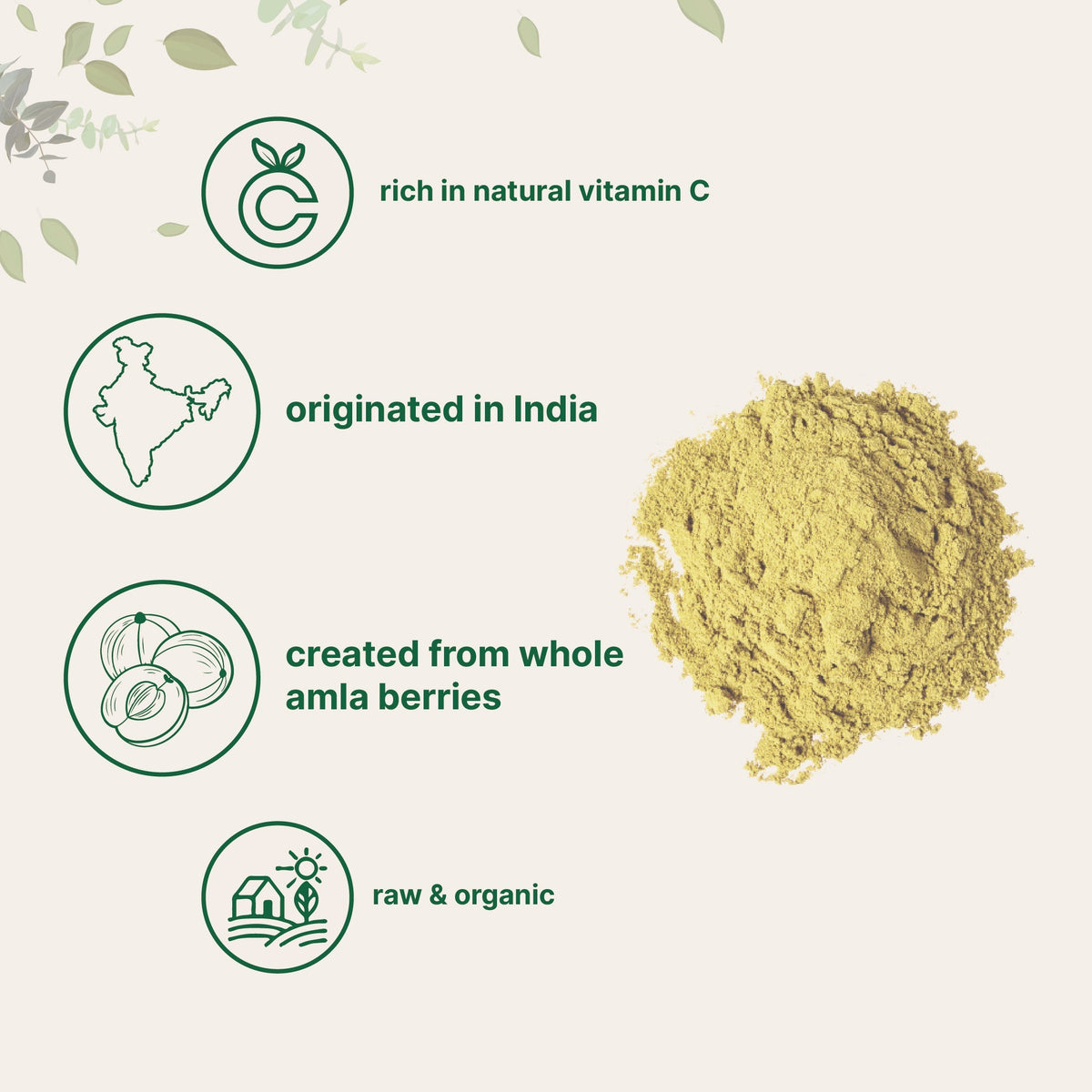 Micro Ingredients Organic Amla Powder, 2lb