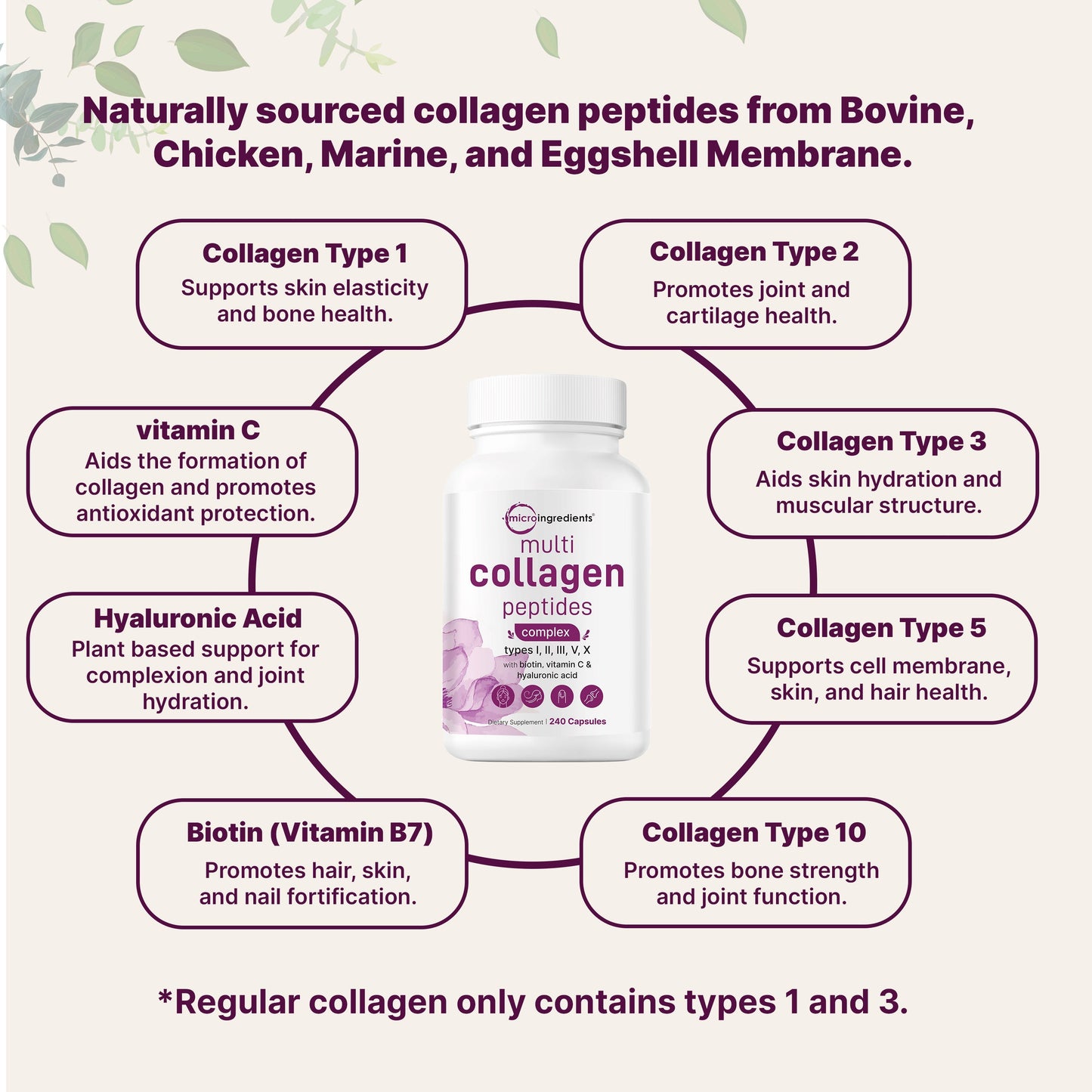 Micro Ingredients 2 Pack Multi Collagen Pills for Women & Men, 480 Capsules