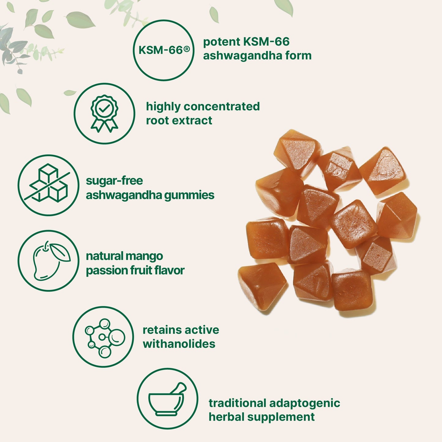Micro Ingredients KSM-66 Ashwagandha Gummies 300mg, 120 Count