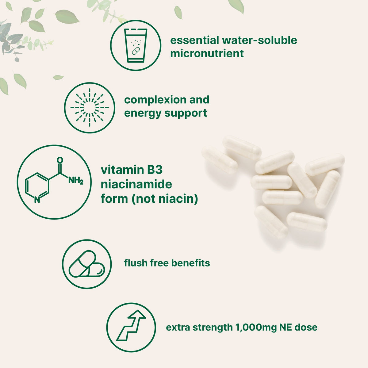 Micro Ingredients Vitamin B3 Niacinamide, 400 Capsules