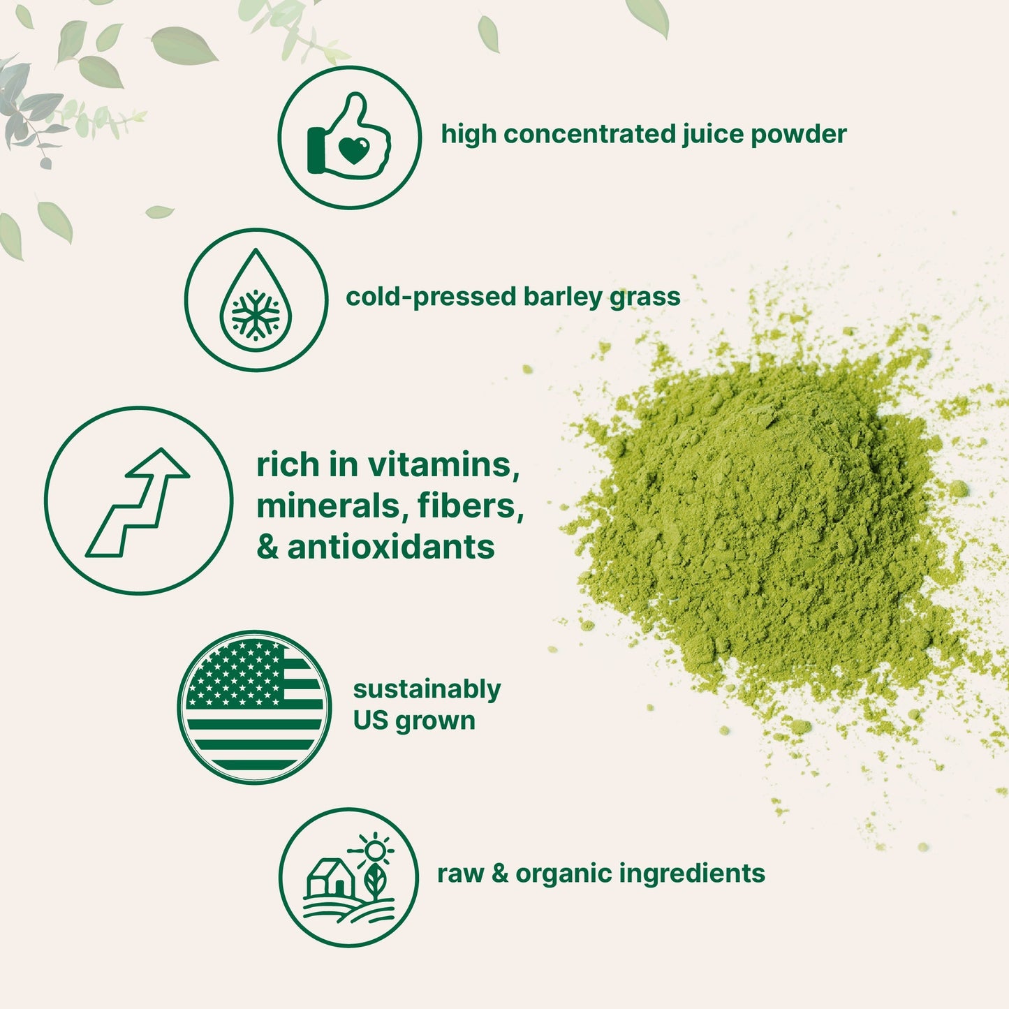 Micro Ingredients Organic Barley Grass Juice Powder, 10 Ounce