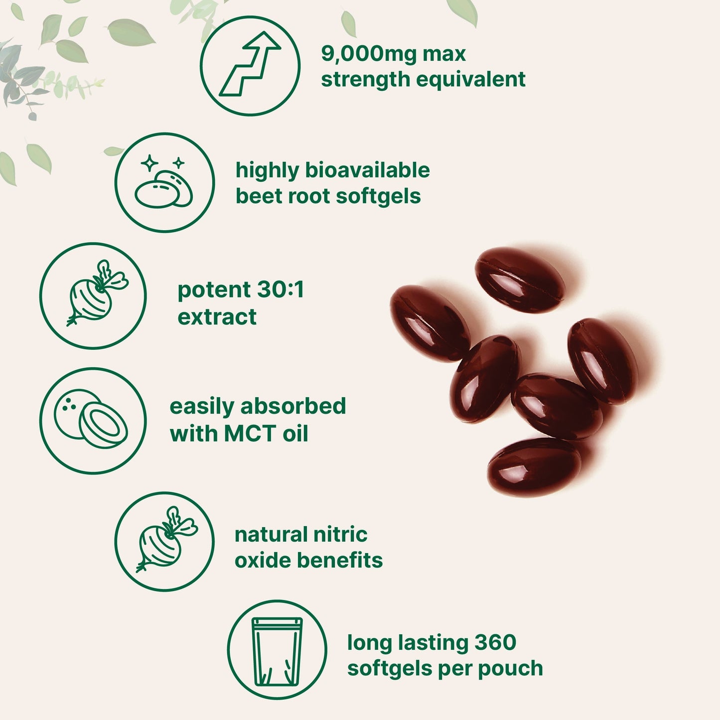 Micro Ingredients Beet Root 9,000mg Equivalent, 360 Softgels with MCT Oil