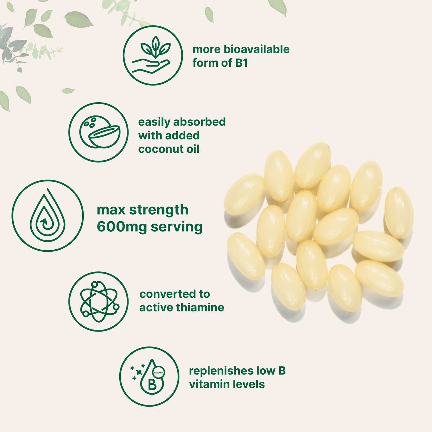 Micro Ingredients Vitamin B1 Benfotiamine, 240 Coconut Oil Softgels