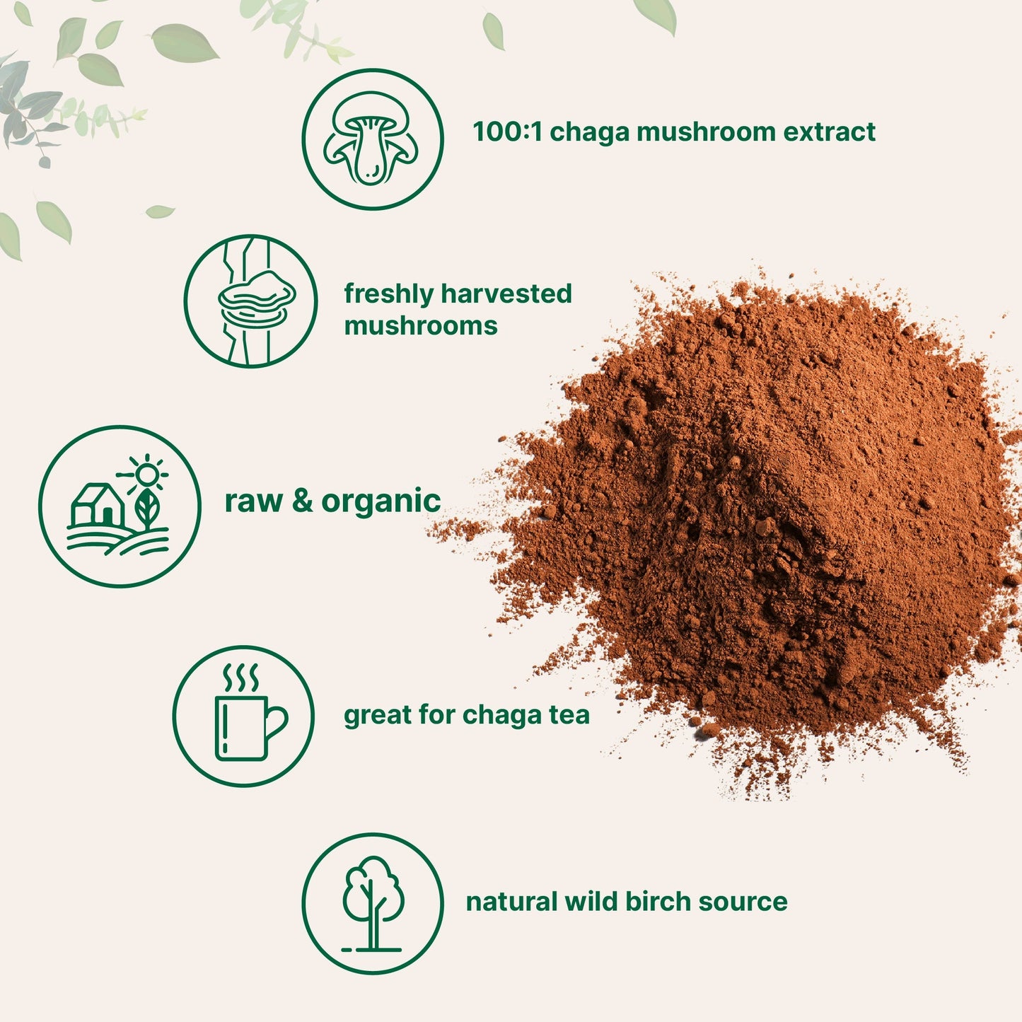 Micro Ingredients Organic Chaga Mushroom Extract 100:1 Powder, 10 Ounce