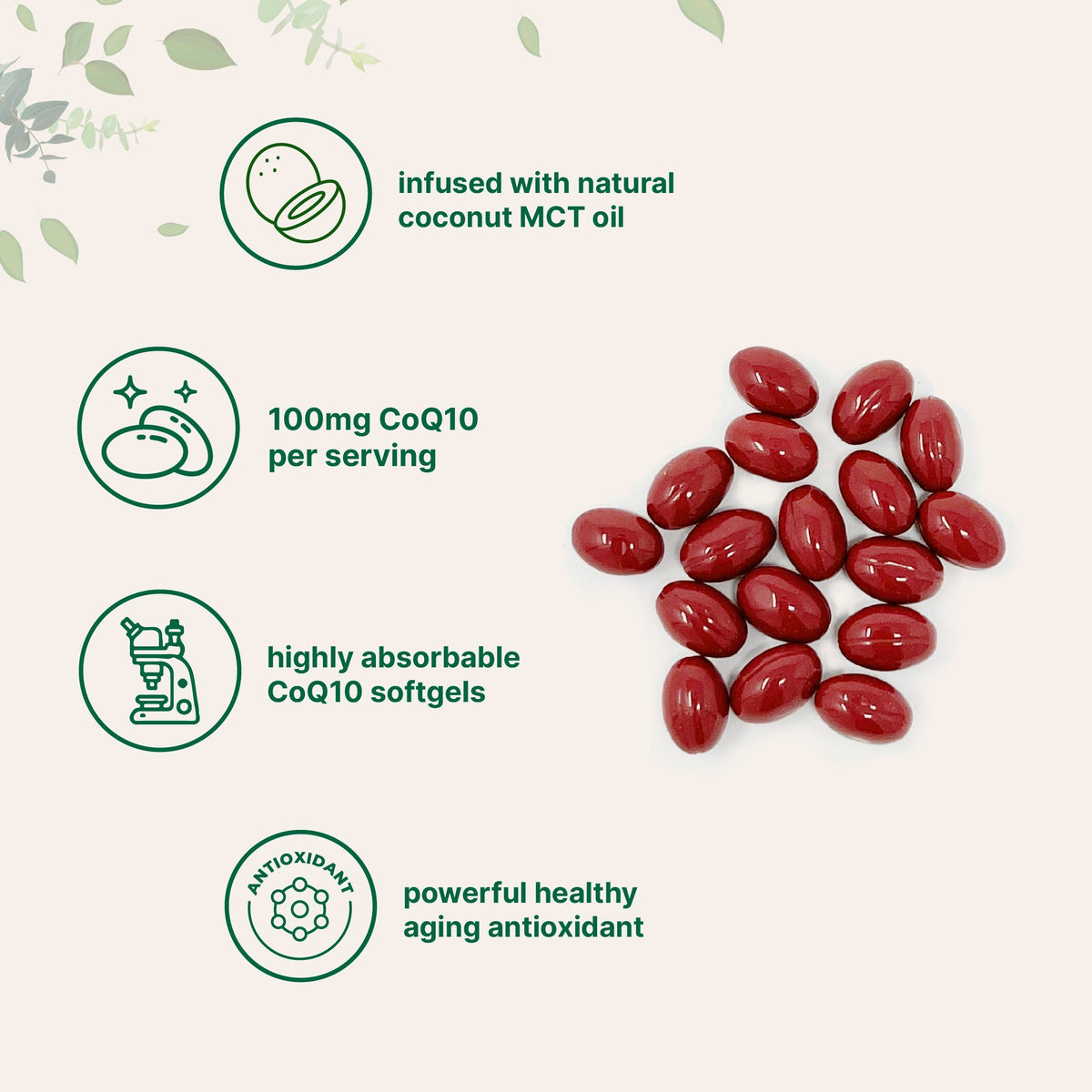 Micro Ingredients CoQ10 240 Softgels with Coconut MCT Oil