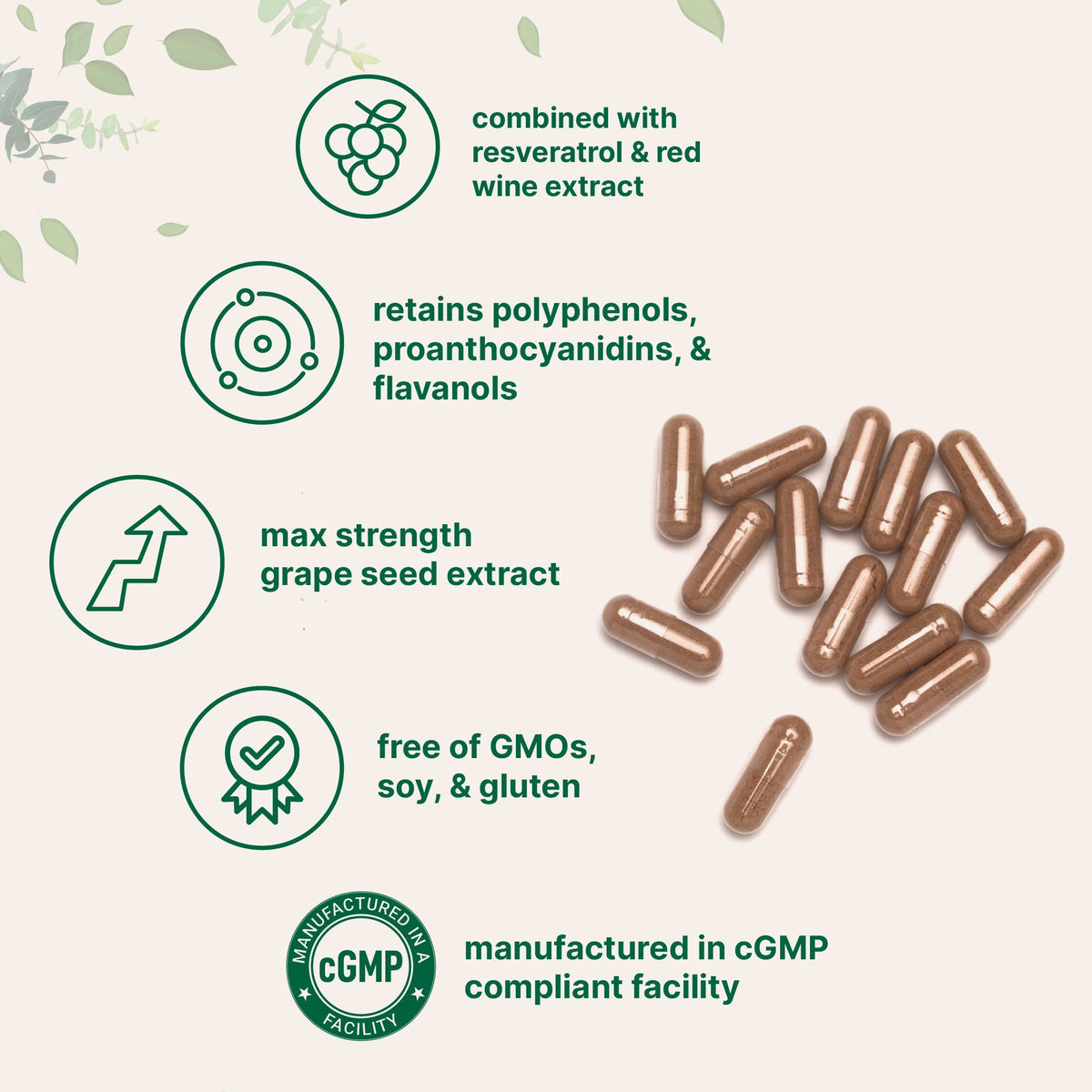 Micro Ingredients Grape Seed Extract, 240 Capsule