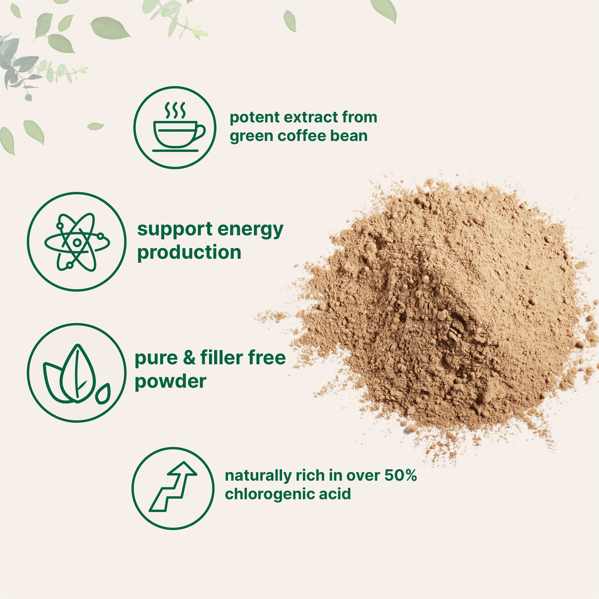 Micro Ingredients Green Coffee Bean Powder, 4oz