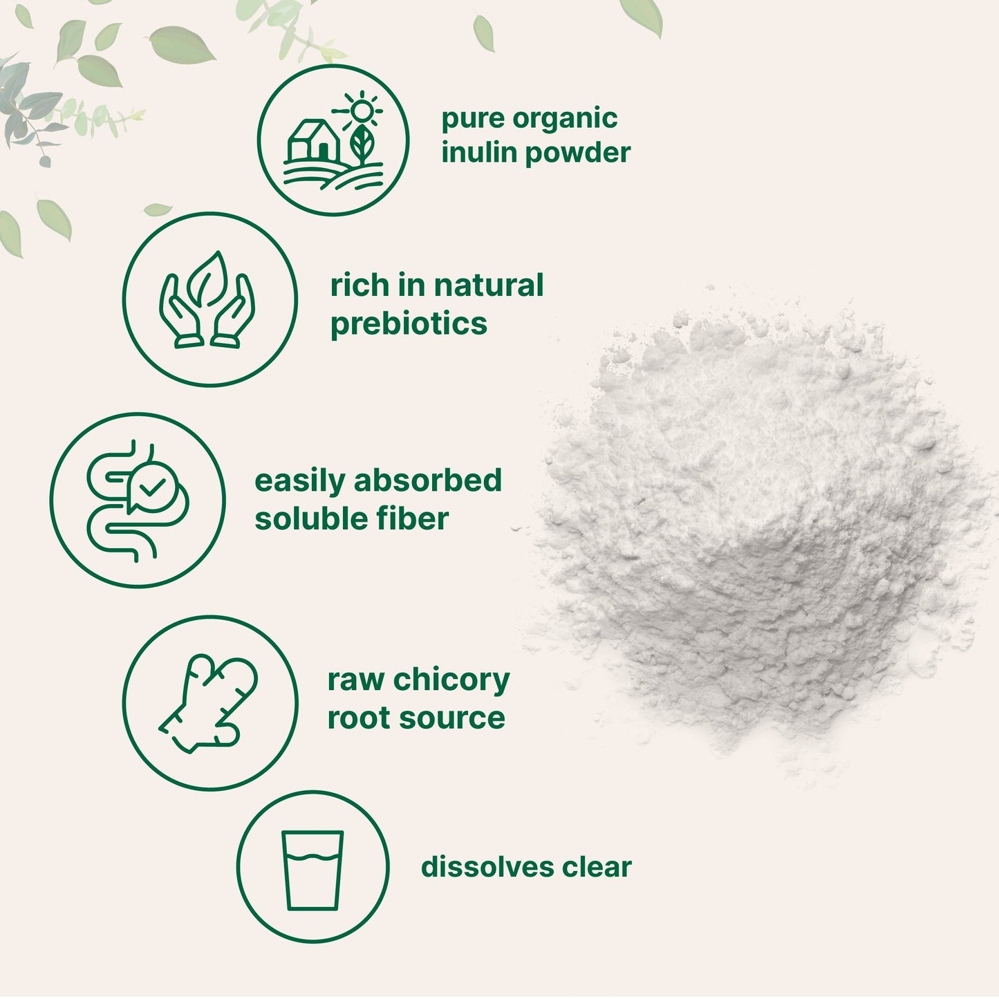 Micro Ingredients Organic Chicory Inulin Powder, 2lb