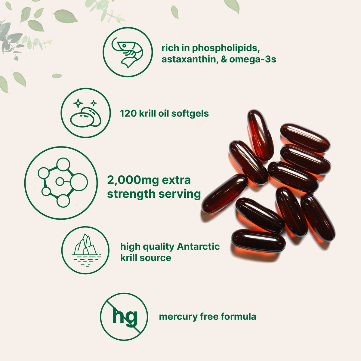 Micro Ingredients Antarctic Krill Oil 2000mg, 240 softgels