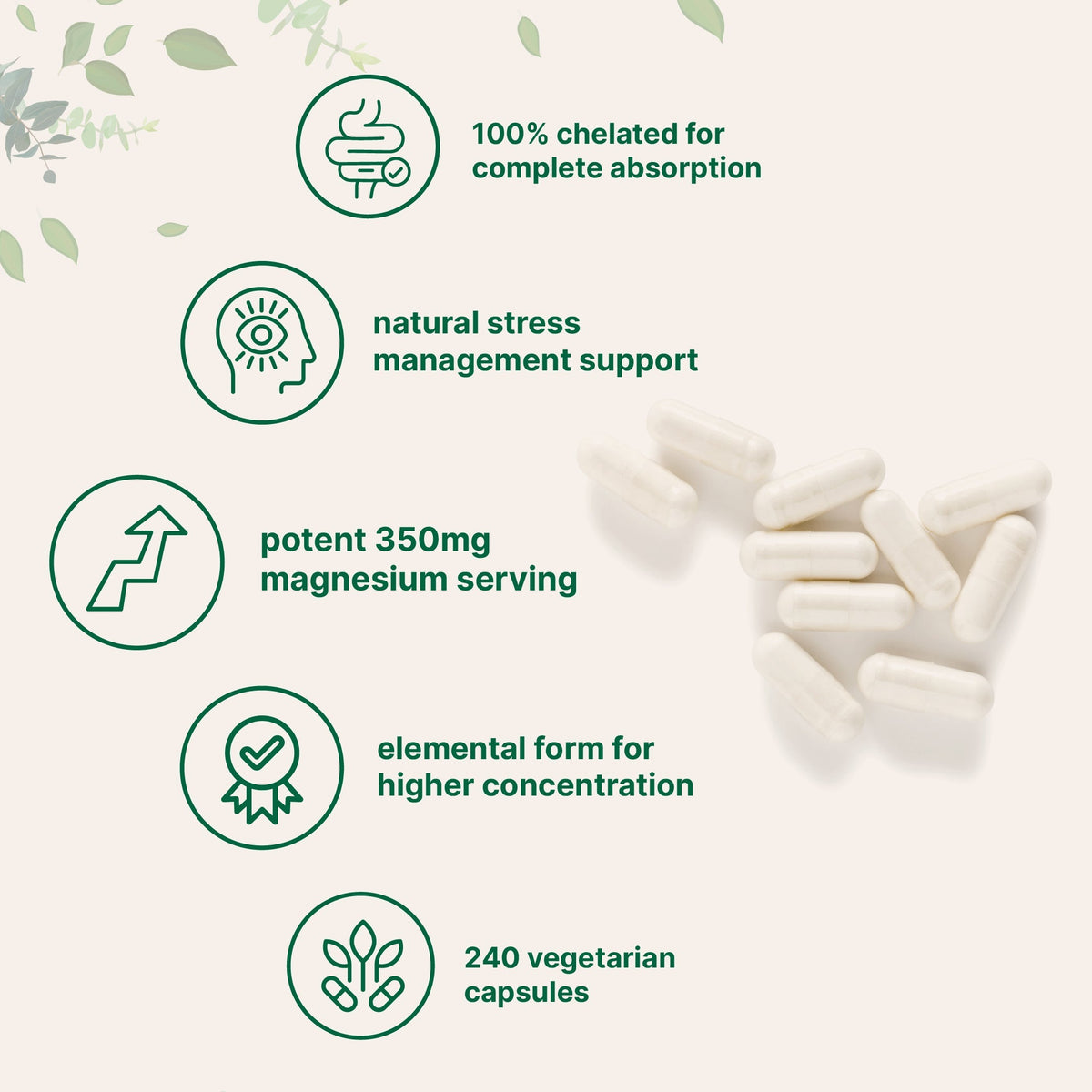 Micro Ingredients Magnesium Glycinate 350mg Per Serving, 240 Veggie Capsules