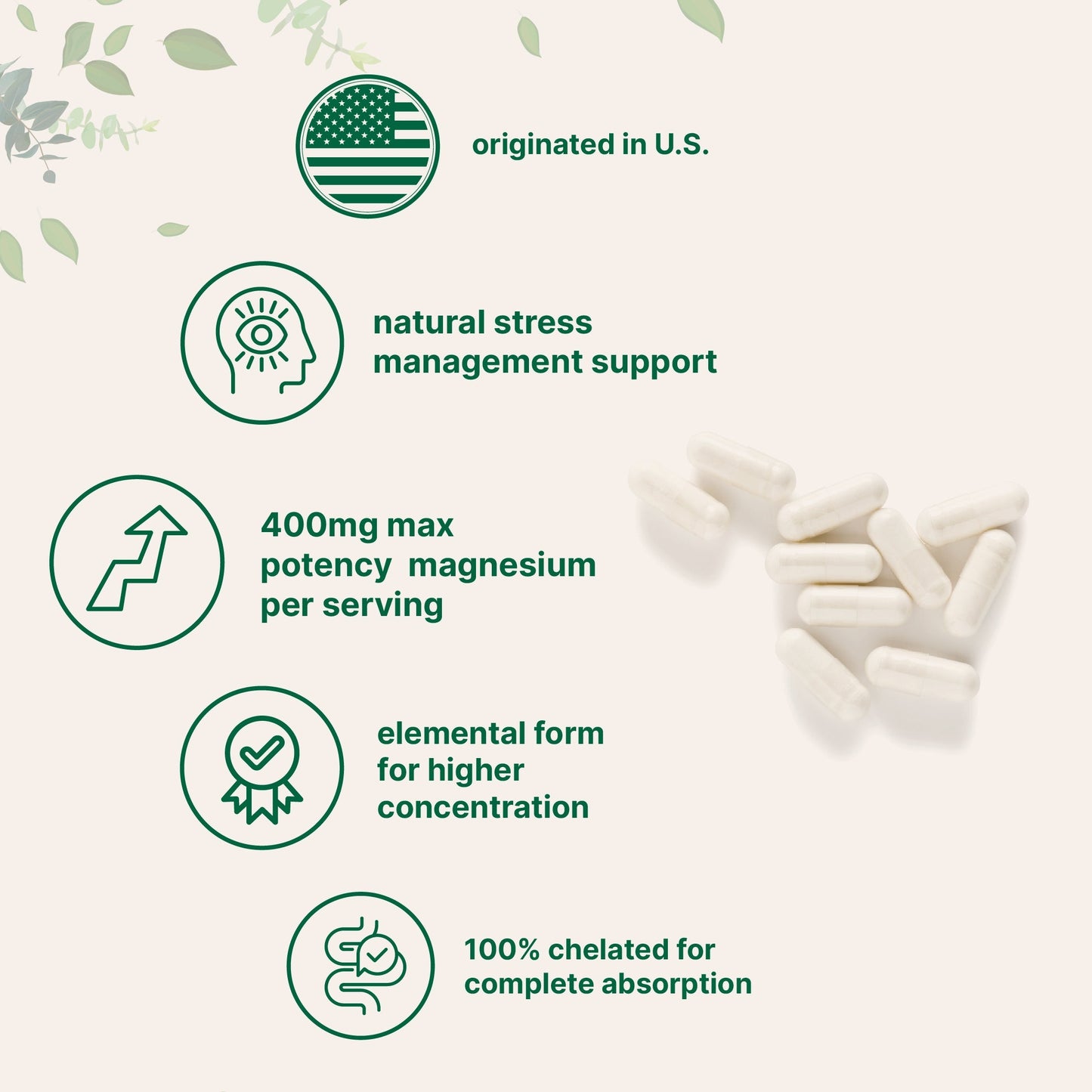 Micro Ingredients Magnesium Glycinate 400mg Per Serving, 240 Capsules