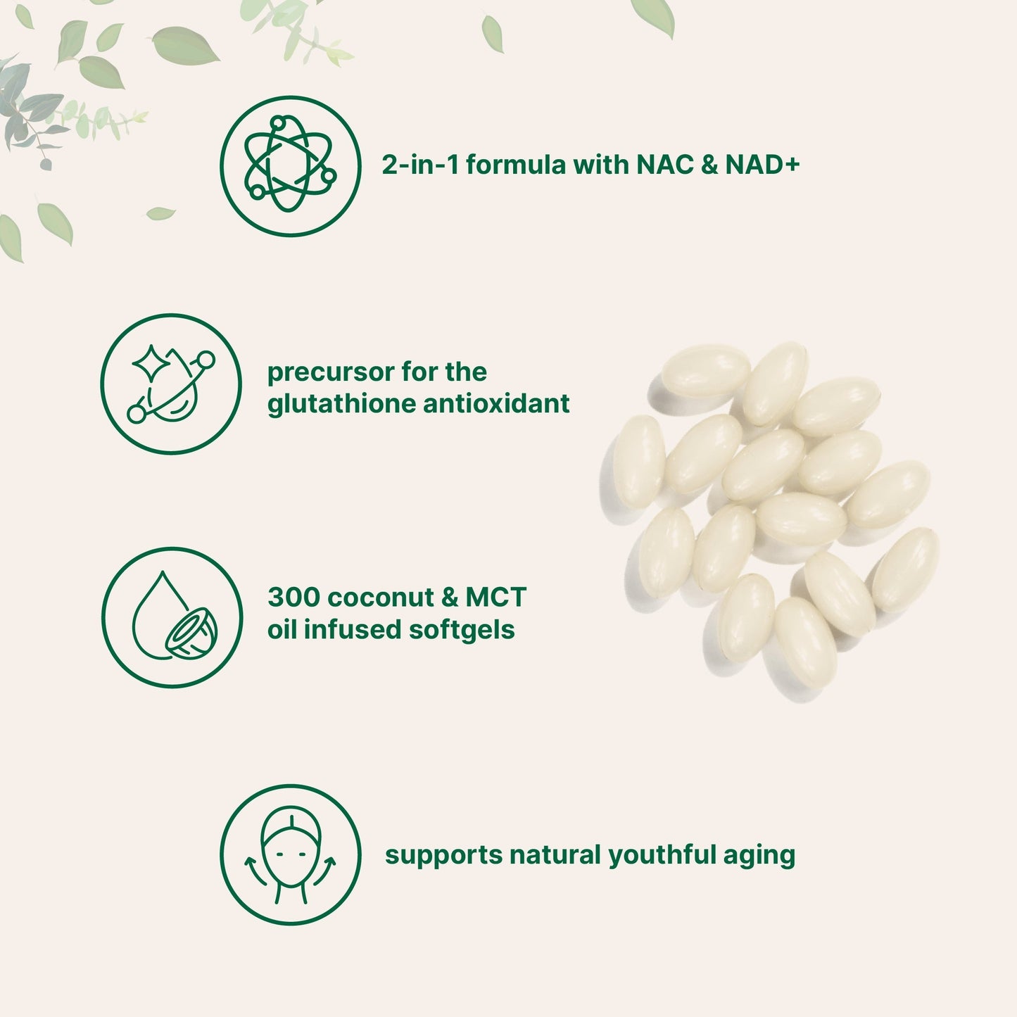 Micro Ingredients NAC 600mg with NAD+, N-Acetyl L-Cysteine + Nicotinamide + MCT Oil, Cellular Energy & Antioxidant Support
