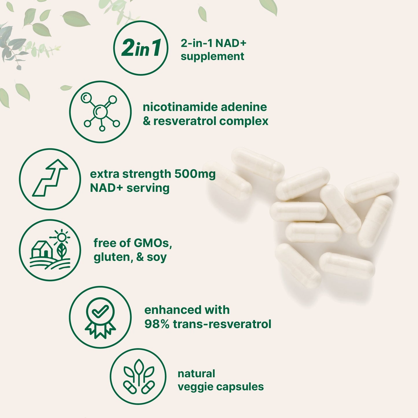 Micro Ingredients NAD+ Supplement 500mg with Resveratrol, 240 Veggie Capsules