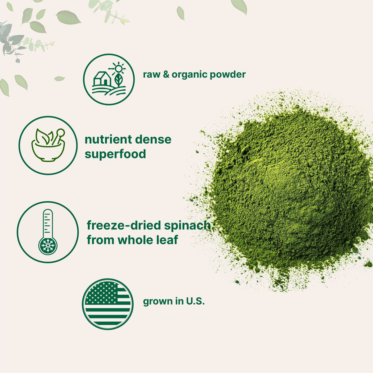 Micro Ingredients Organic Spinach Powder, 1lb