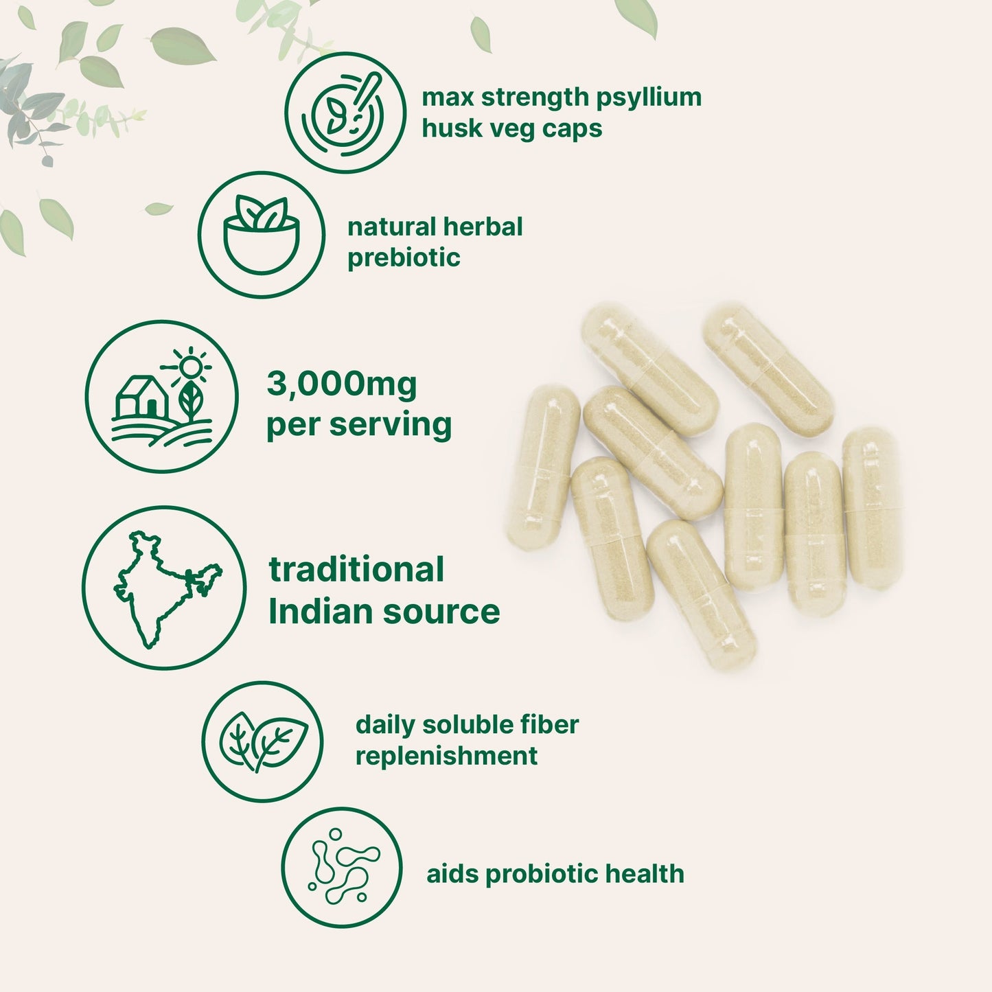 Micro Ingredients Psyllium Husk Veg Caps 3,000mg, 500 Capsules