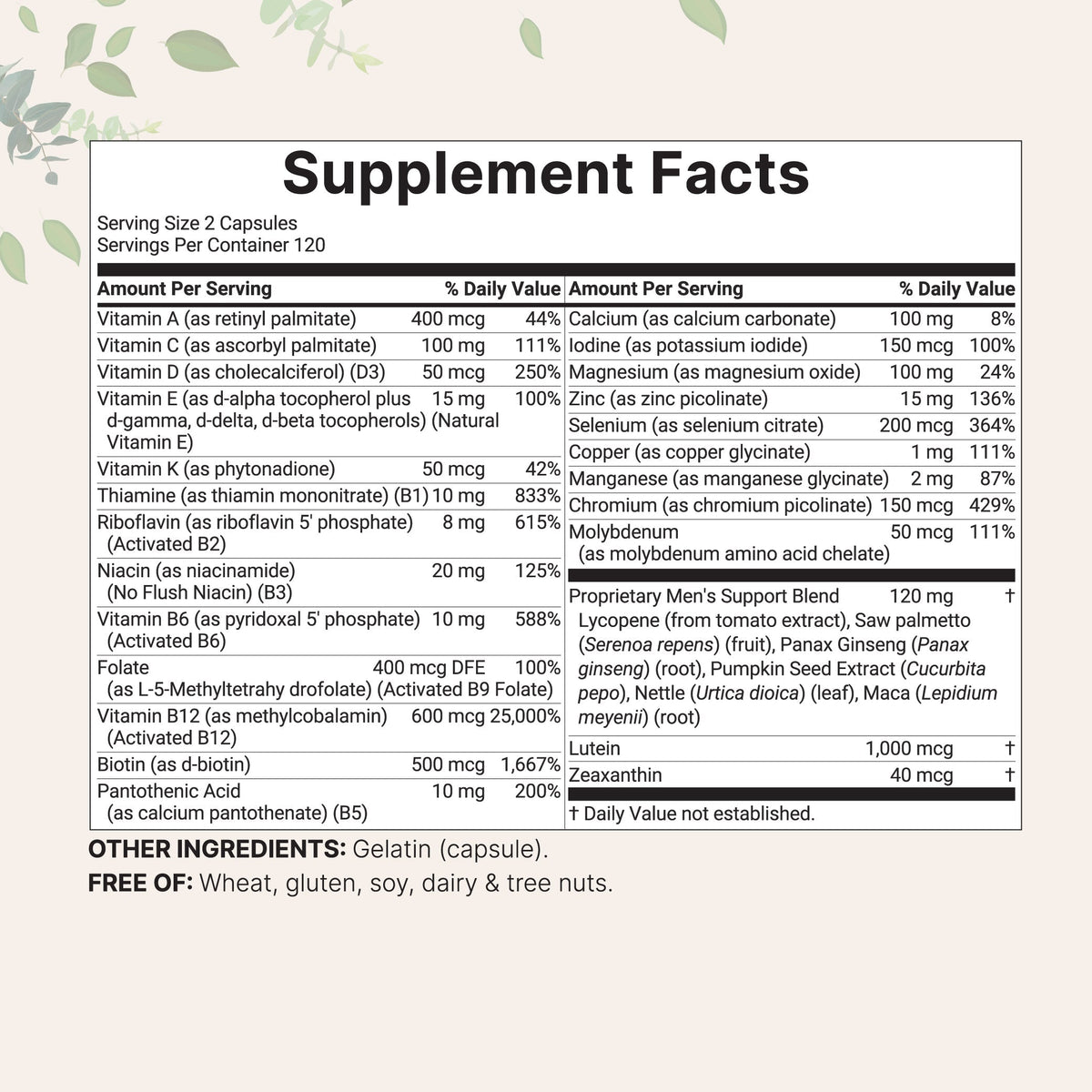 Micro Ingredient Pure Methylated Multivitamin for Men, 240 Capsules