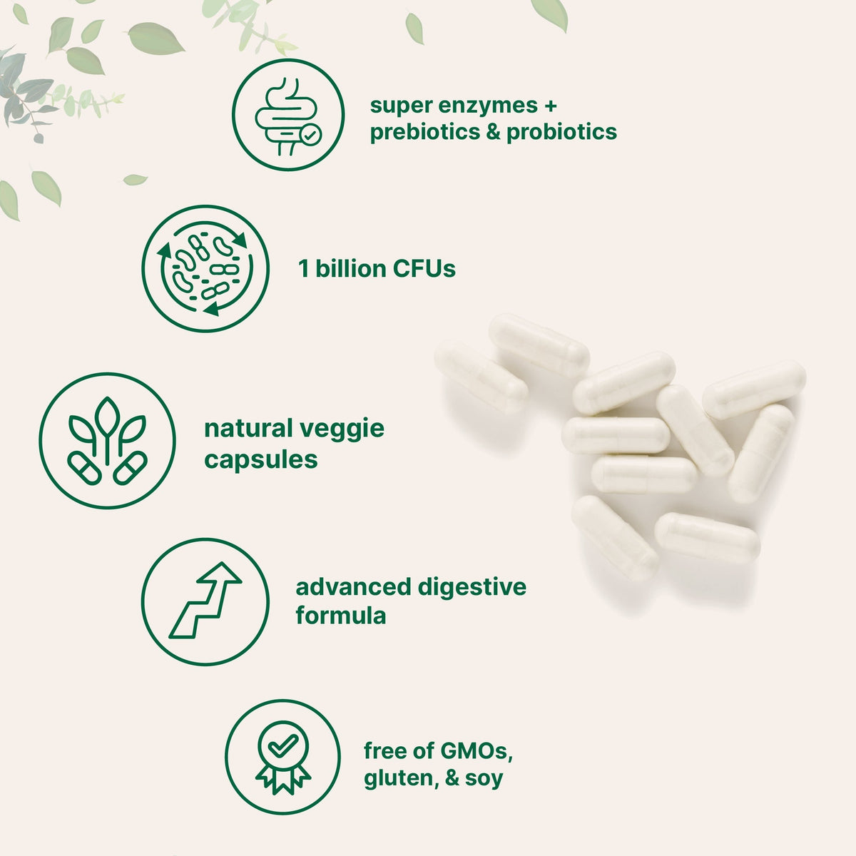 Micro Ingredients Super Enzymes + Prebiotics & 1 Billion CFU Probiotics, 240 Veggie Capsules