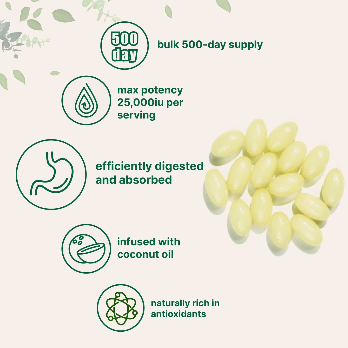 Micro Ingredients Vitamin A Softgels – 25,000 IU with Virgin Coconut Oil
