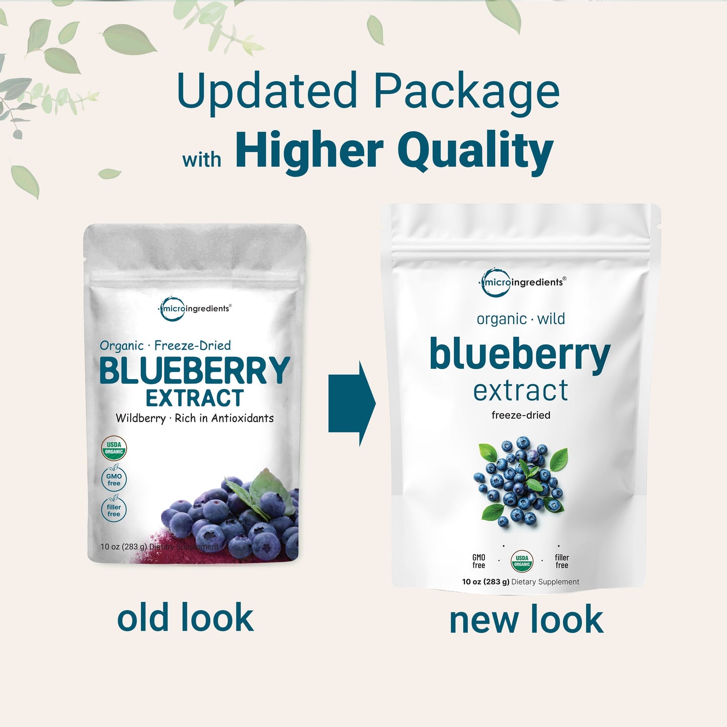 Micro Ingredients Organic Blueberry Extract Powder, 10oz