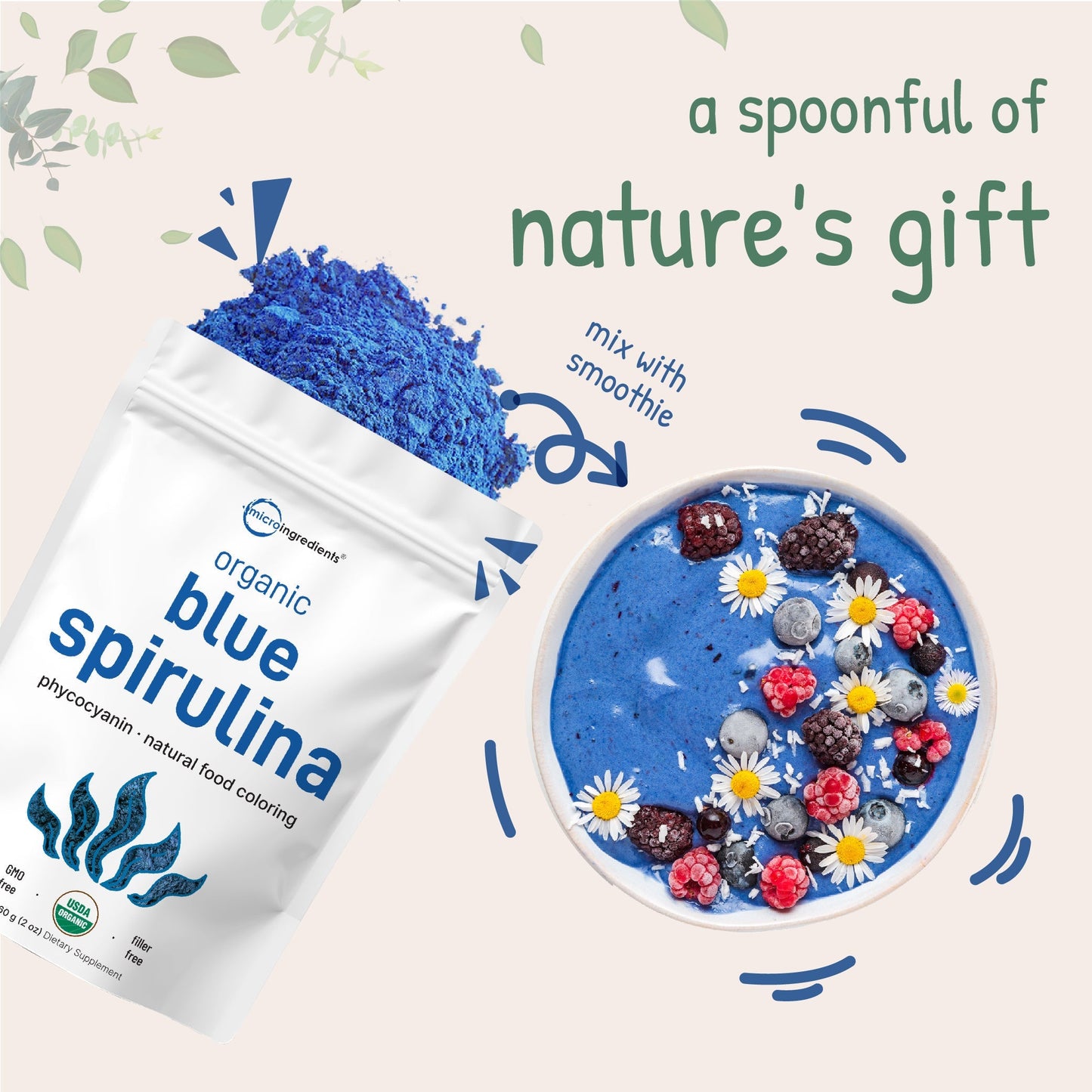 Micro Ingredients Organic Blue Spirulina Powder (Phycocyanin Extract) - No Fishy Smell, 100% Vegan Protein from Blue-Green Algae