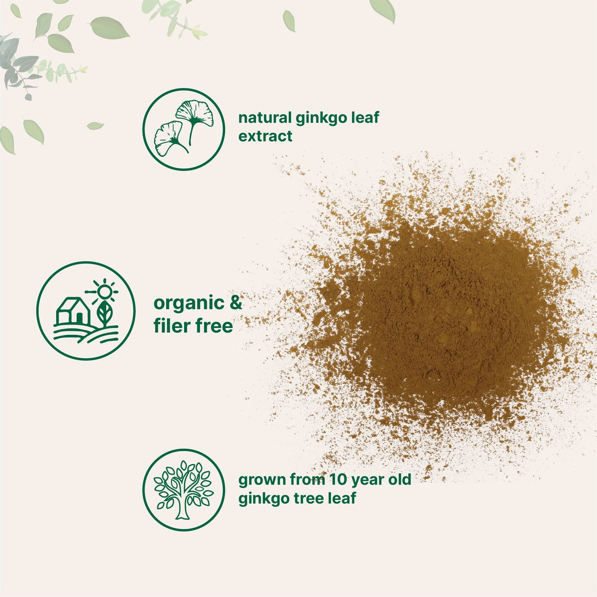 Micro Ingredients Organic Ginkgo Biloba Powder