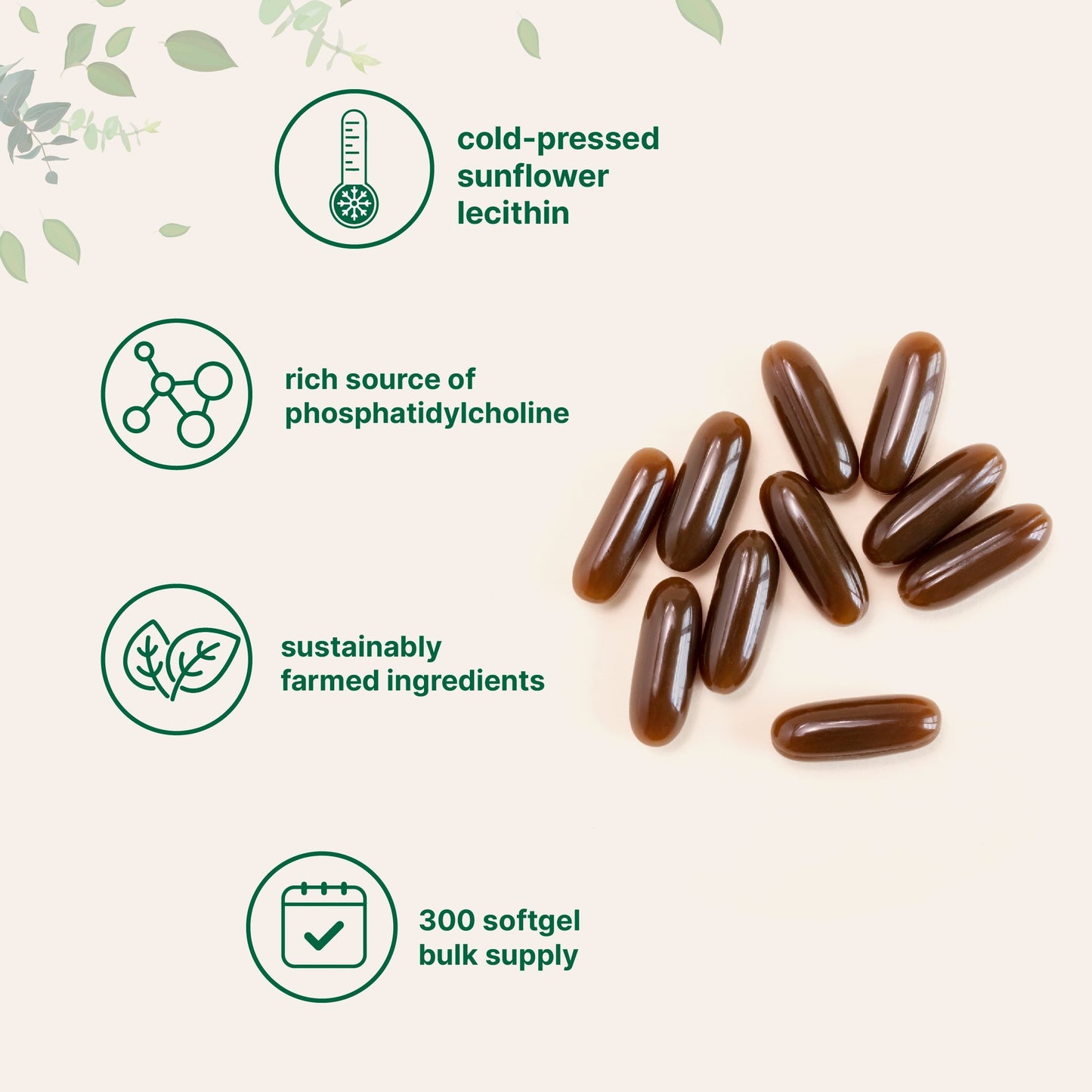 Micro Ingredients Organic Sunflower Lecithin Powder / Softgels